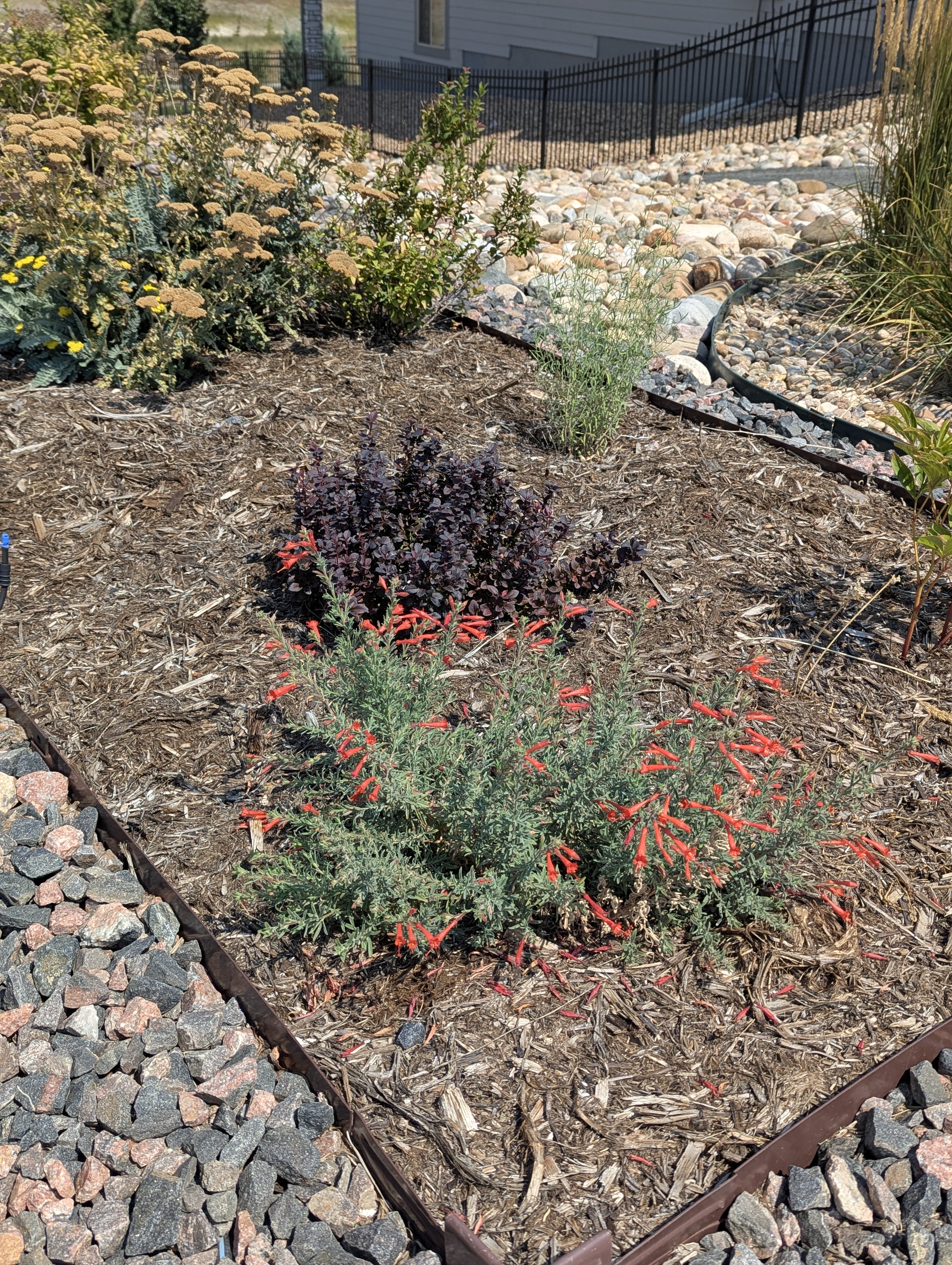 Garden, Morrison, Colorado